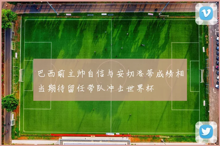 巴西前主帅自信与安切洛蒂成绩相当期待留任带队冲击世界杯